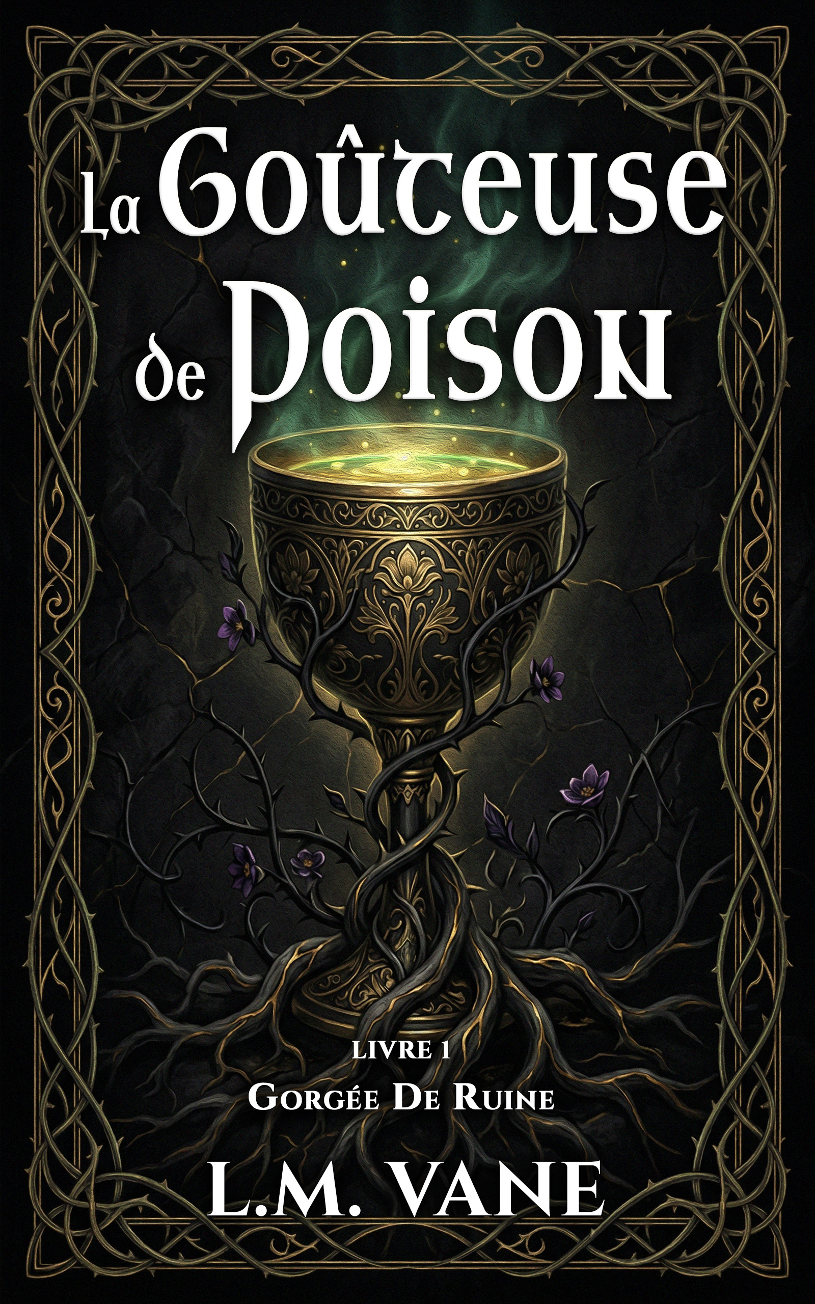 Couverture Livre 1